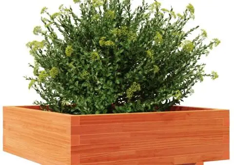 Jardinieră grădină, maro ceruit, 80x80x26,5 cm, lemn masiv pin - 4/5