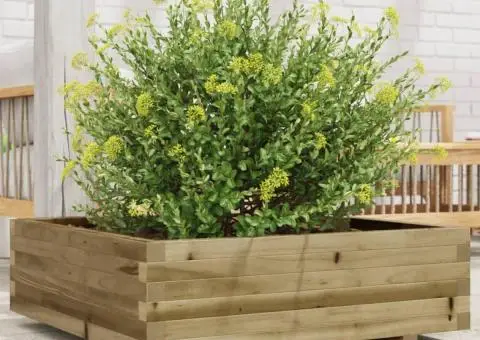 Jardinieră de grădină, 80x80x26,5 cm, lemn de pin impregnat - 1/5