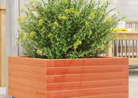 Jardinieră grădină, maro ceruit, 50x50x26,5 cm, lemn masiv pin - 1/5