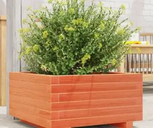 vidaXL Jardinieră grădină, maro ceruit, 50x50x26,5 cm, lemn masiv pin