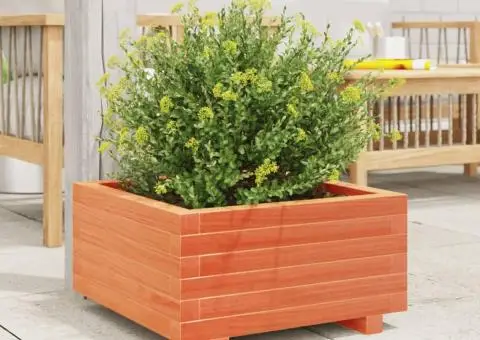 Jardinieră grădină, maro ceruit, 50x50x26,5 cm, lemn masiv pin - 3/5