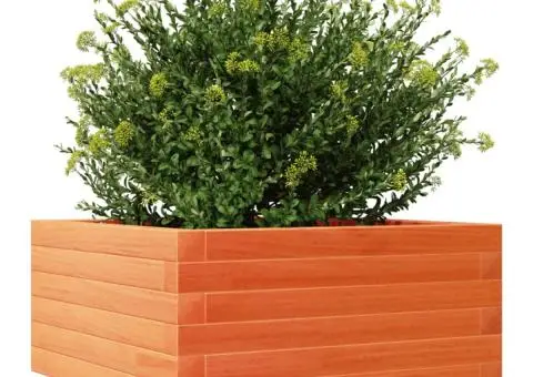 Jardinieră grădină, maro ceruit, 50x50x26,5 cm, lemn masiv pin - 4/5