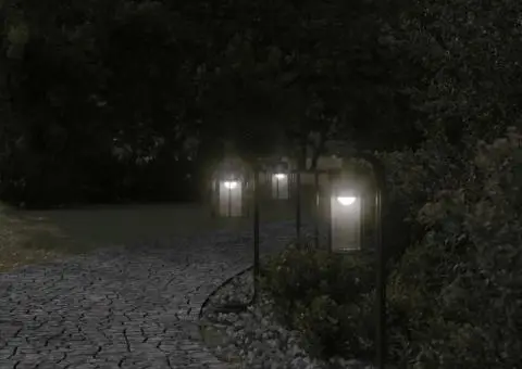 Lămpi de podea de exterior 3 buc. negru 60 cm oțel inoxidabil - 3/5