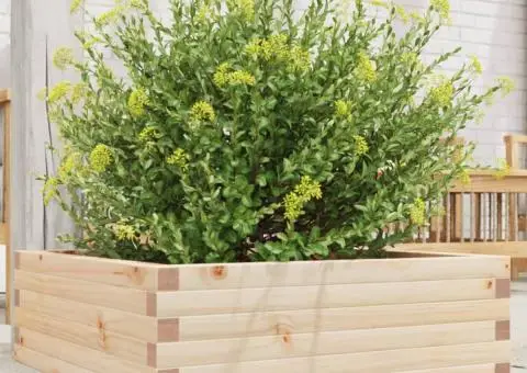 Jardinieră de grădină, 70x70x23 cm, lemn masiv de pin - 1/5