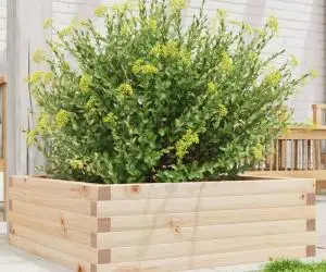 vidaXL Jardinieră de grădină, 70x70x23 cm, lemn masiv de pin