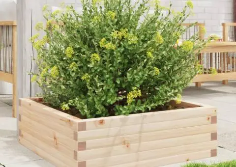 Jardinieră de grădină, 70x70x23 cm, lemn masiv de pin - 3/5