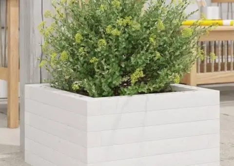 Jardinieră de grădină, alb, 40x40x23 cm, lemn masiv de pin - 1/5