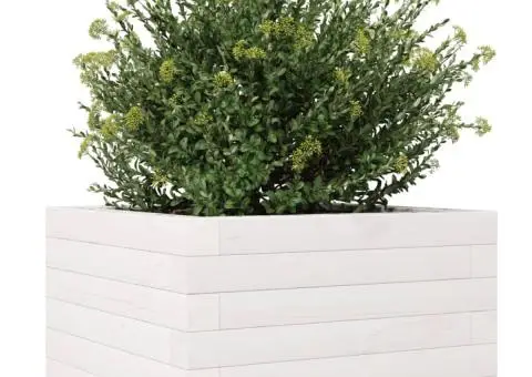 Jardinieră de grădină, alb, 40x40x23 cm, lemn masiv de pin - 4/5