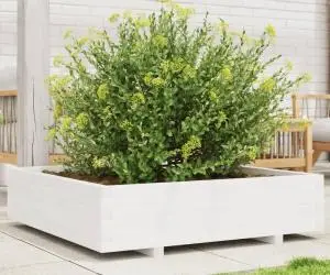 vidaXL Jardinieră de grădină, alb, 100x100x26,5 cm, lemn masiv de pin