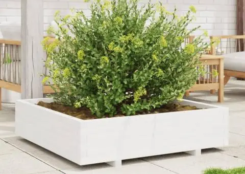 Jardinieră de grădină, alb, 100x100x26,5 cm, lemn masiv de pin - 3/5