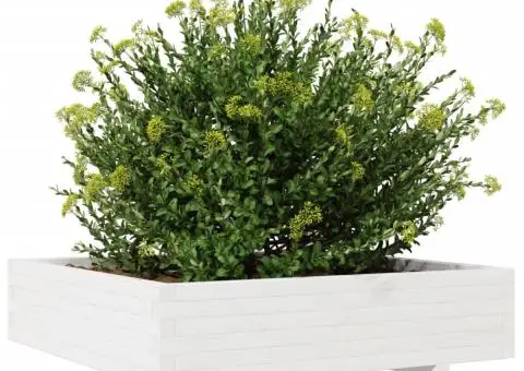 Jardinieră de grădină, alb, 100x100x26,5 cm, lemn masiv de pin - 4/5