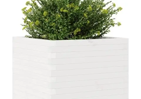 Jardinieră de grădină, alb, 60x60x49,5 cm, lemn masiv de pin - 4/5