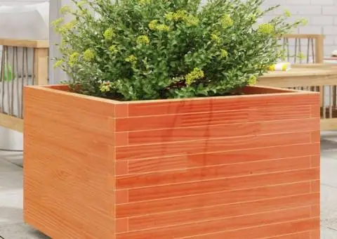 Jardinieră grădină, maro ceruit, 70x70x49,5 cm, lemn masiv pin - 1/5