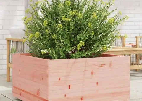 Jardinieră de grădină, 90x90x49,5 cm, lemn masiv Douglas - 1/5