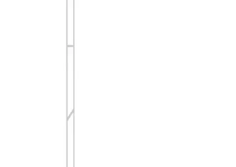 Paravan duș walk-in argintiu 80x195 cm sticlă ESG transparentă - 4/5