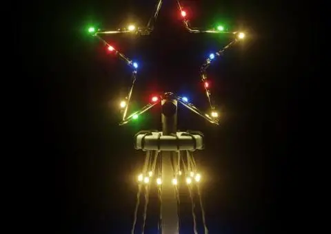 Brad de Crăciun, 310 LED-uri colorate, 300 cm, cu țăruș - 5/5