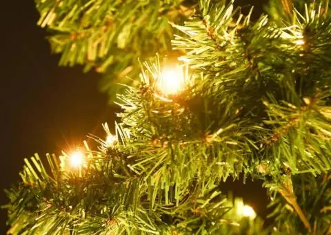 Brad Crăciun pre-iluminat ondulat cu ghiveci verde 120 cm PVC - 5/5