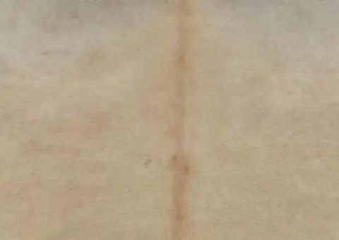 Covor din piele de vacă naturală, bej, 150 x 170 cm - 3/5