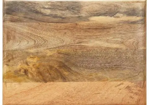 Suport pentru reviste, 40x30x50 cm, lemn masiv de mango și oțel - 3/5