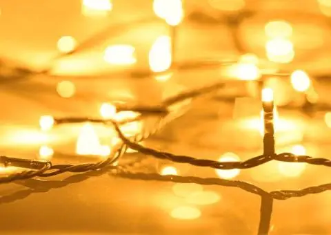 Instalație lumini 2000 leduri interior/exterior alb cald 200 m - 3/5