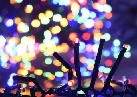 Instalație cluster cu 3000 LED-uri, multicolor, 23 m, PVC - 4/5