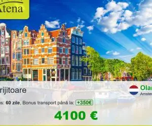 Oferta Olanda
