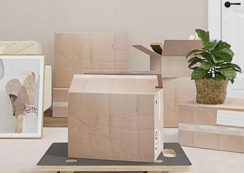 Cărucioare transport 2 buc dreptunghiulare 60x40x11,5 cm 250 kg - 1/5