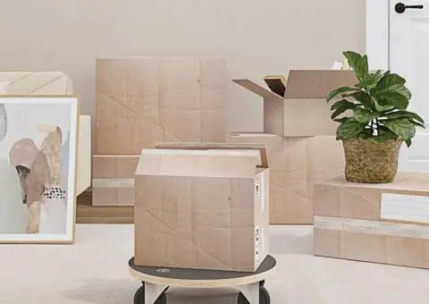 Cărucioare de transport, 2 buc., rotunde, Ø38x11,5 cm, 250 kg - 1/5