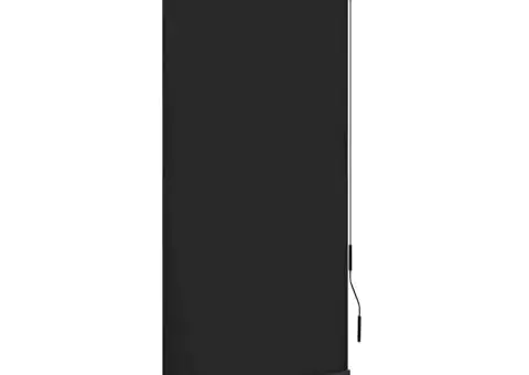 Jaluzea tip rulou de exterior, antracit, 100 x 250 cm - 1/5