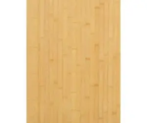 Blat de masă, 60x100x1,5 cm, bambus