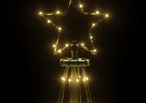 Brad de Crăciun, 310 LED-uri, alb cald, 300 cm, cu țăruș - 5/5