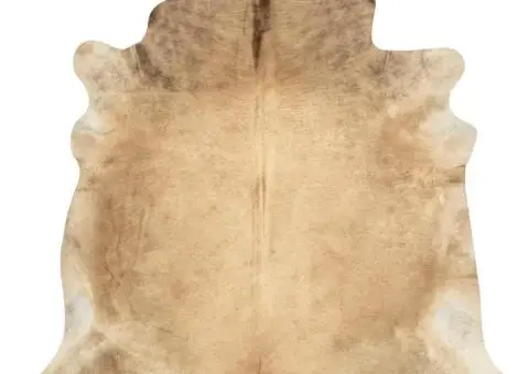 Covor din piele de vacă naturală, bej, 150 x 170 cm - 2/5