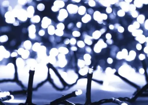 Instalație compactă cu 2000 LED-uri, alb rece, 45 m, PVC - 4/5