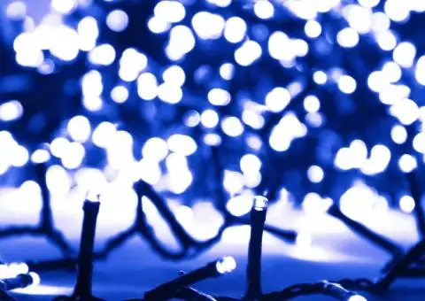 Instalație compactă cu 3000 LED-uri, albastru, 65 m, PVC - 4/5