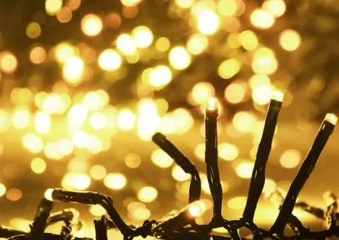 Instalație tip cluster cu 2000 LED-uri, alb cald, 17 m, PVC - 4/5