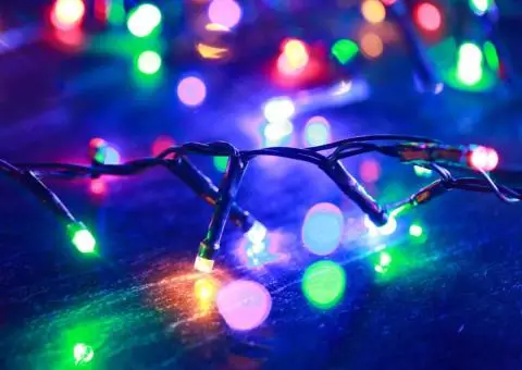 Instalație compactă cu 2000 LED-uri, multicolor, 45 m, PVC - 4/5