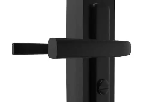 Ușă de interior, negru, 93x201,5 cm, sticlă ESG și aluminiu - 5/5