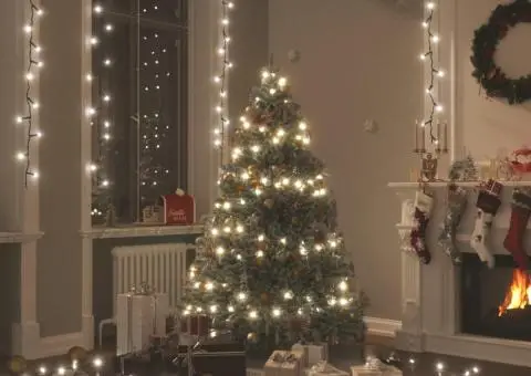 Instalație cu 300 LED-uri, alb rece, 30 m, PVC - 1/5