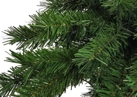 Brad de Crăciun cu LED-uri, 180 cm - 5/5