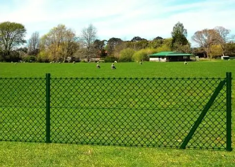 Gard de legătură din plasă cu stâlpi/țăruși, 0,8 x 25 m, oțel - 2/5