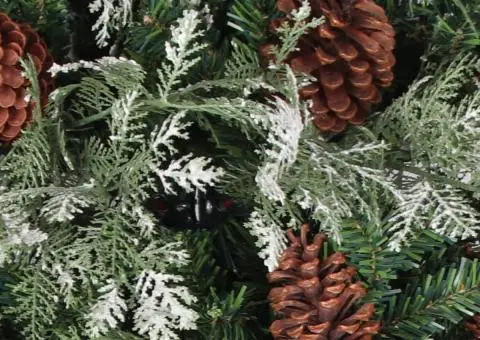 Brad Crăciun pre-iluminat conuri de pin verde/alb 120 cm PVC/PE - 5/5