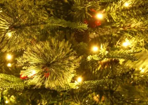 Brad de Crăciun pre-iluminat conuri de pin verde 150 cm PVC&PE - 5/5