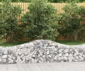 vidaXL Coșuri gabion arcuite 11 buc, 200x50x40/60 cm, fier galvanizat