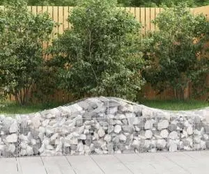 vidaXL Coșuri gabion arcuite 15 buc, 200x50x40/60 cm, fier galvanizat