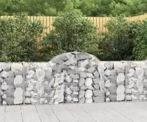 vidaXL Coșuri gabion arcuite 40 buc, 200x30x80/100 cm, fier galvanizat