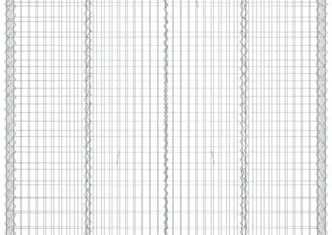Coșuri gabion arcuite 12 buc, 200x50x180/200cm, fier galvanizat - 4/5
