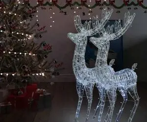 vidaXL Ren de Crăciun 250 LED-uri, 2 buc., alb rece, 180 cm, acril XXL