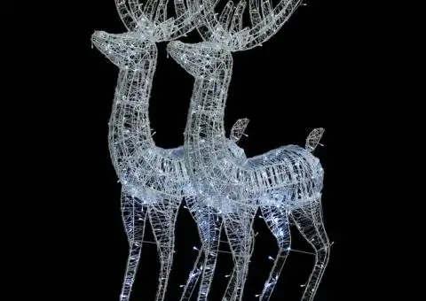 Ren de Crăciun 250 LED-uri, 2 buc., alb rece, 180 cm, acril XXL - 2/5