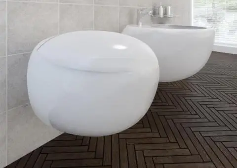 Set de toaletă & bideu suspendate pe perete, alb, ceramică - 1/5