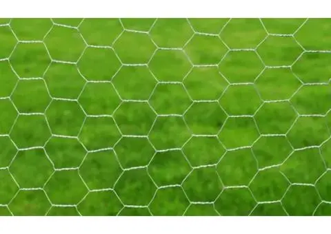 Plasă de sârmă găini, argintiu, 25 x 0,75 m, oțel galvanizat - 3/4